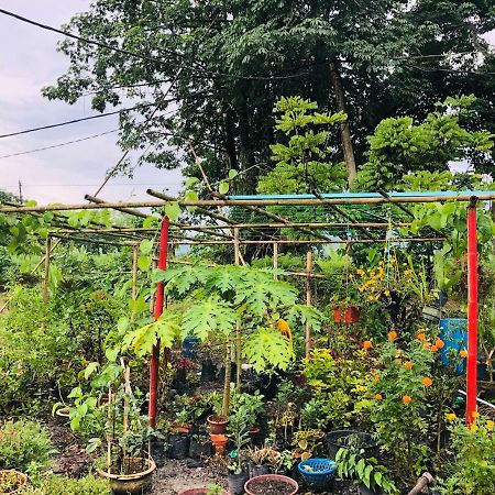 Atocha Homestay - Terong@Taiping Kampong Salak Exteriör bild