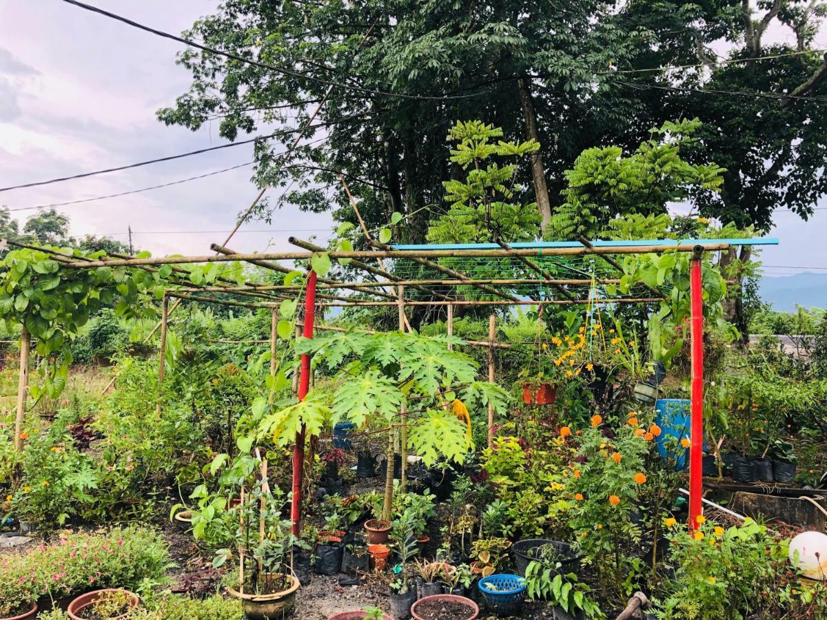 Atocha Homestay - Terong@Taiping Kampong Salak Exteriör bild